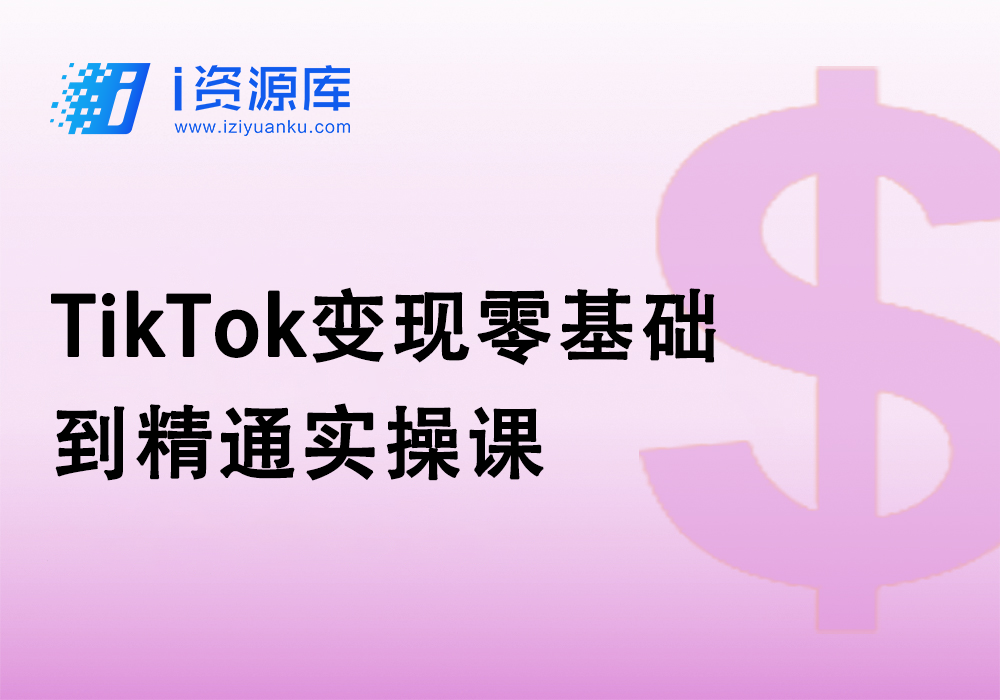 TikTok变现零基础到精通实操课-i资源库